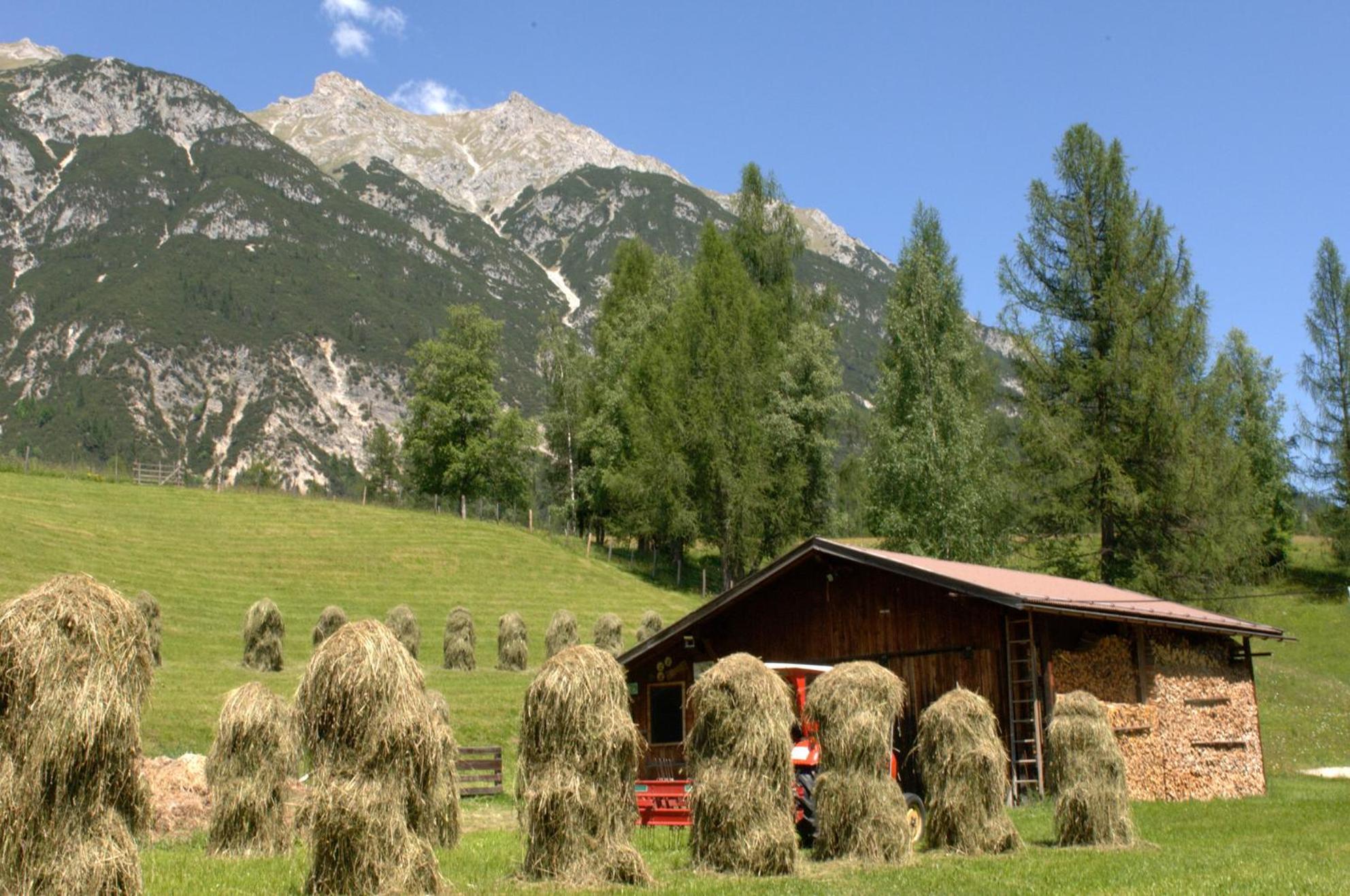Haus Elisengrund Am Geigenbuehel - Chalet Prive Seefeld in Tirol Kültér fotó